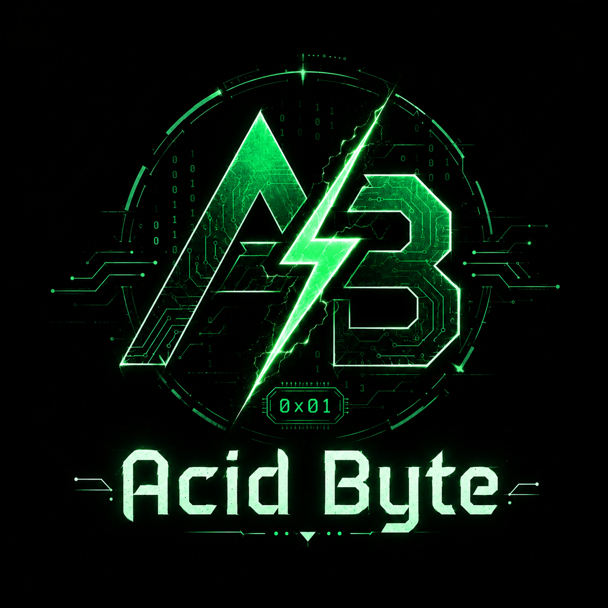 Acid Byte